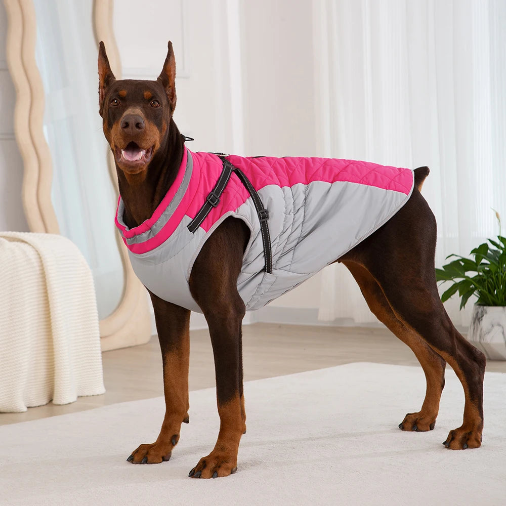 Veste ArcticPaws Premium