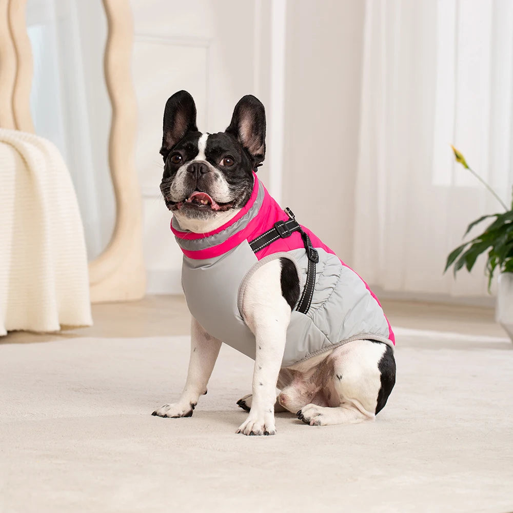 Veste ArcticPaws Premium