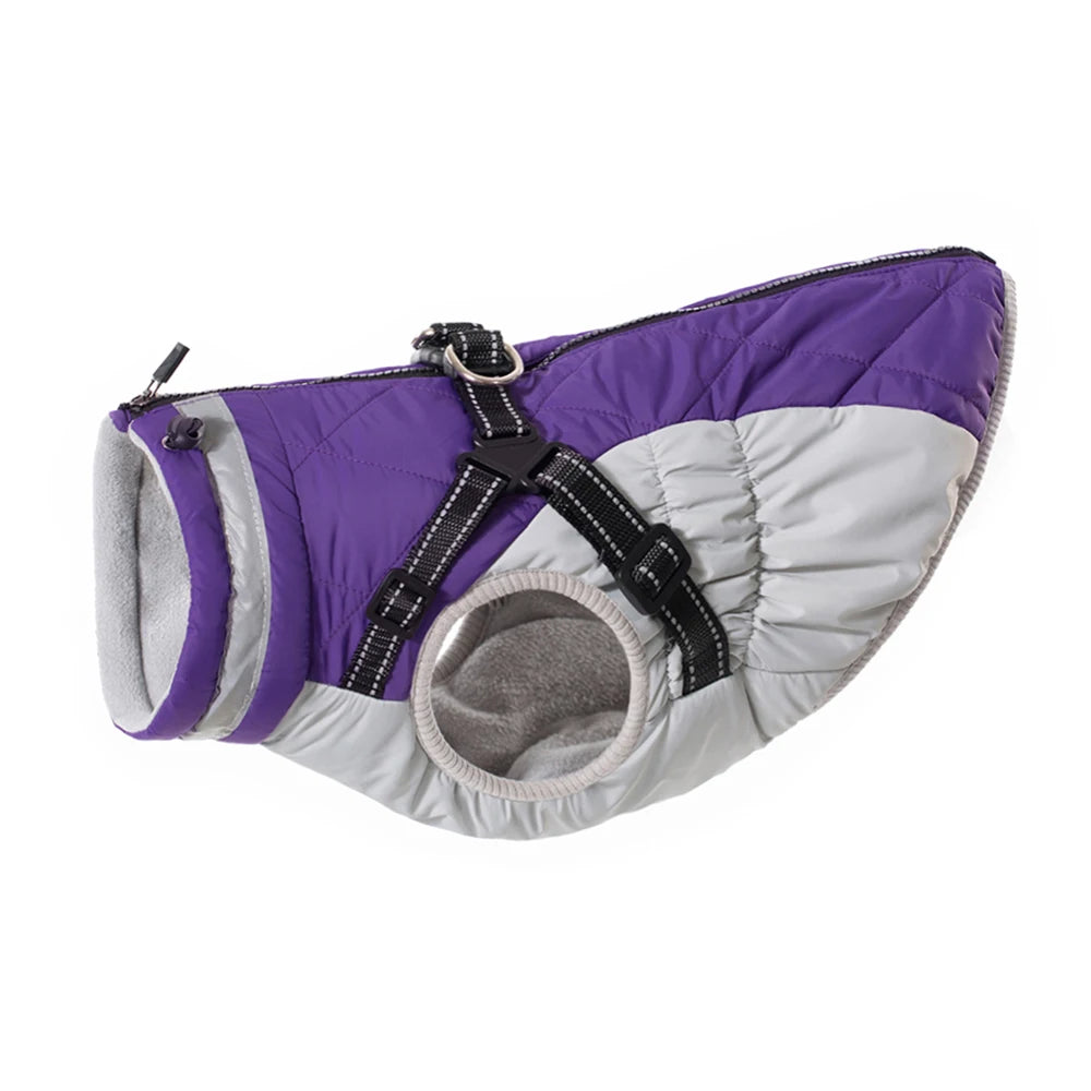 Veste ArcticPaws Premium