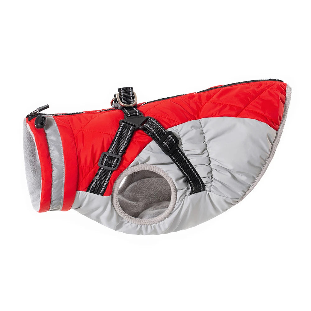 Veste ArcticPaws Premium