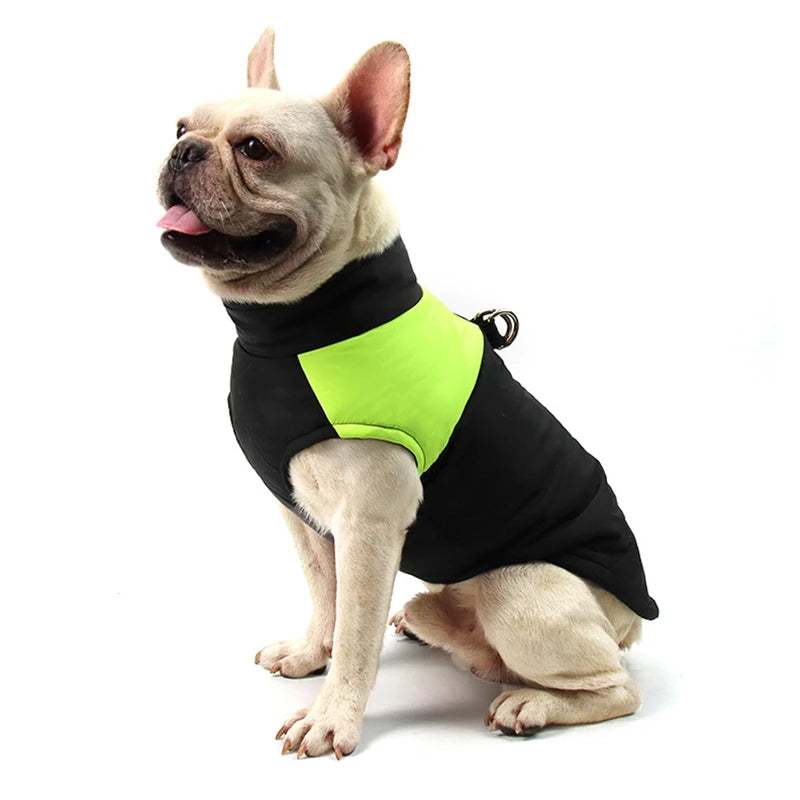 Chaqueta impermeable CosyCanine