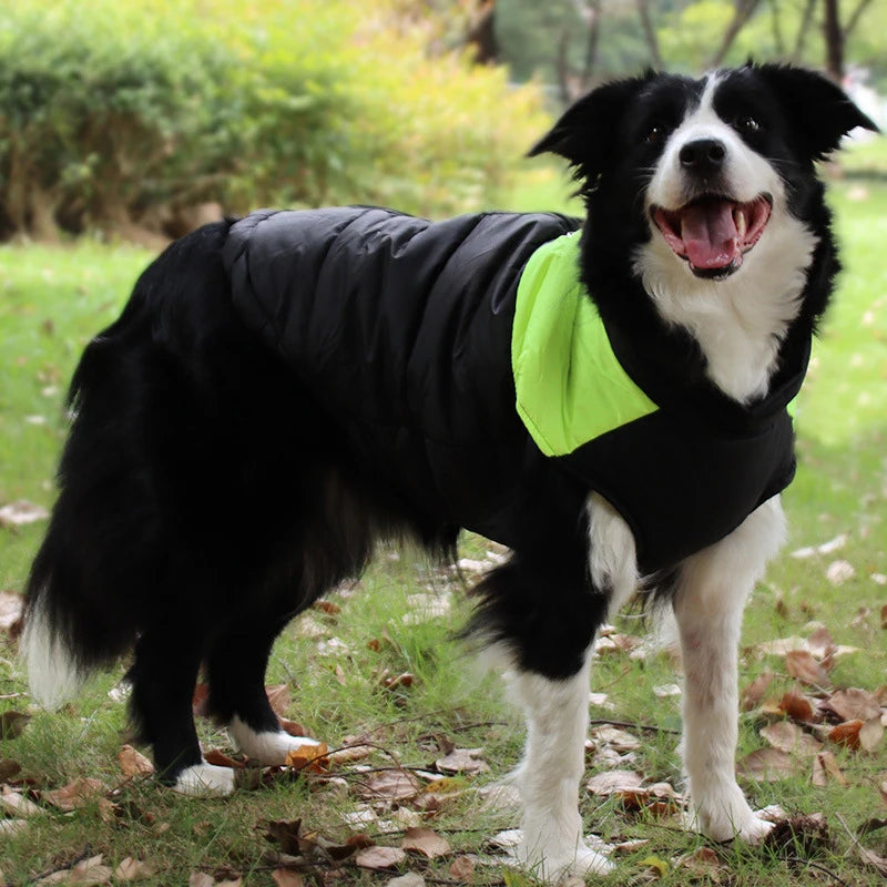 CosyCanine Weatherproof Jacket