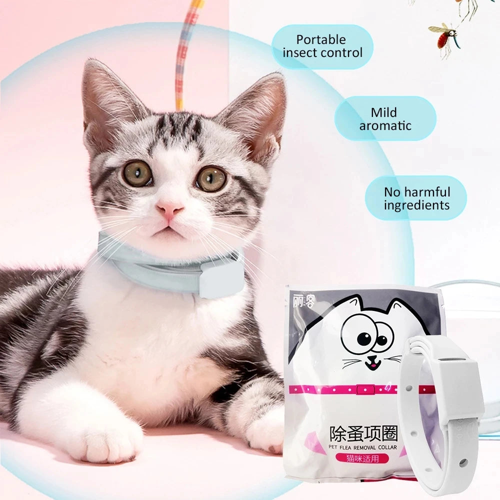 Collier anti-puces PurrProtect : conception réglable et détachable avec protection de 8 mois