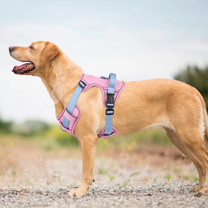 Adjustable Reflective Mesh Harness – Lightweight Control for All Breeds