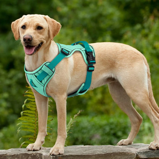 Adjustable Reflective Mesh Harness – Lightweight Control for All Breeds