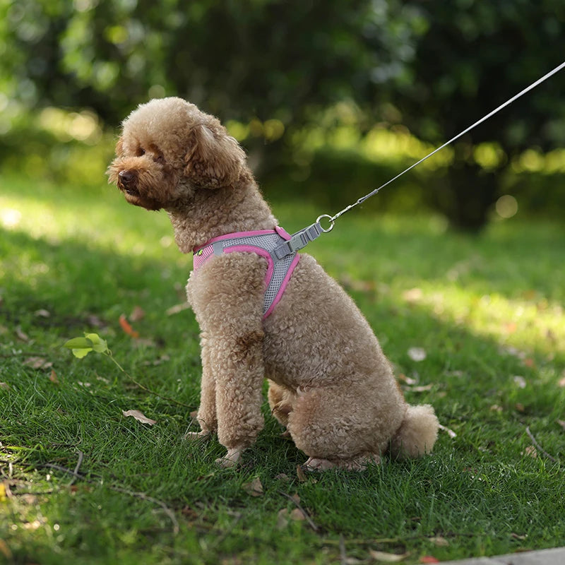 AirFlex™ No-Pull Dog Harness