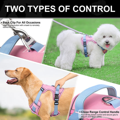 Adjustable Reflective Mesh Harness – Lightweight Control for All Breeds