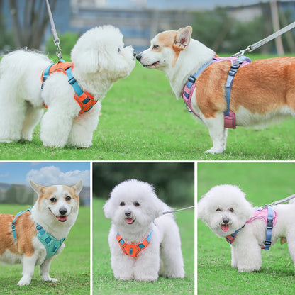 Adjustable Reflective Mesh Harness – Lightweight Control for All Breeds