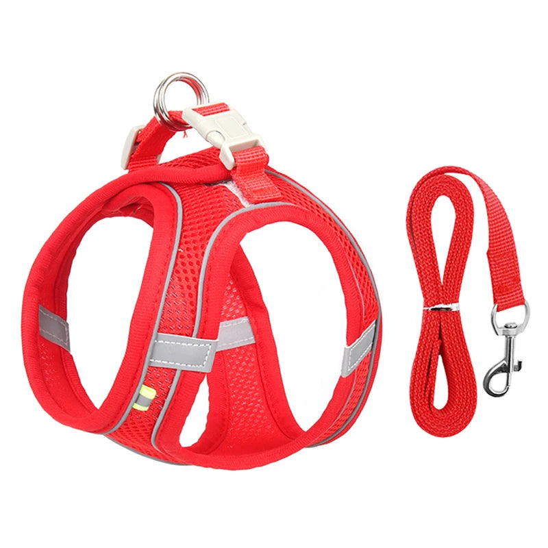 AirFlex™ No-Pull Dog Harness