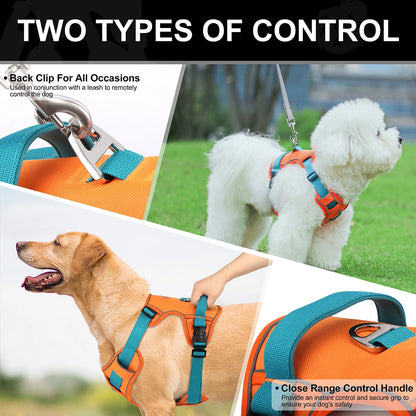 Adjustable Reflective Mesh Harness – Lightweight Control for All Breeds