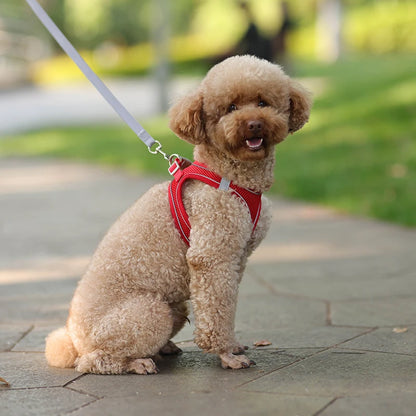 AirFlex™ No-Pull Dog Harness