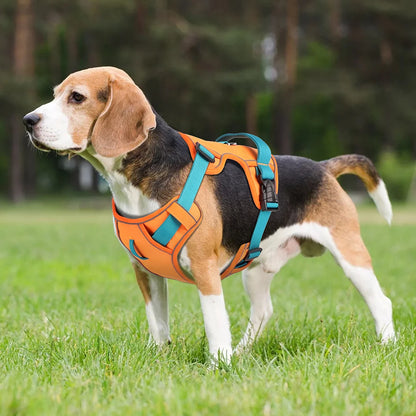 Adjustable Reflective Mesh Harness – Lightweight Control for All Breeds