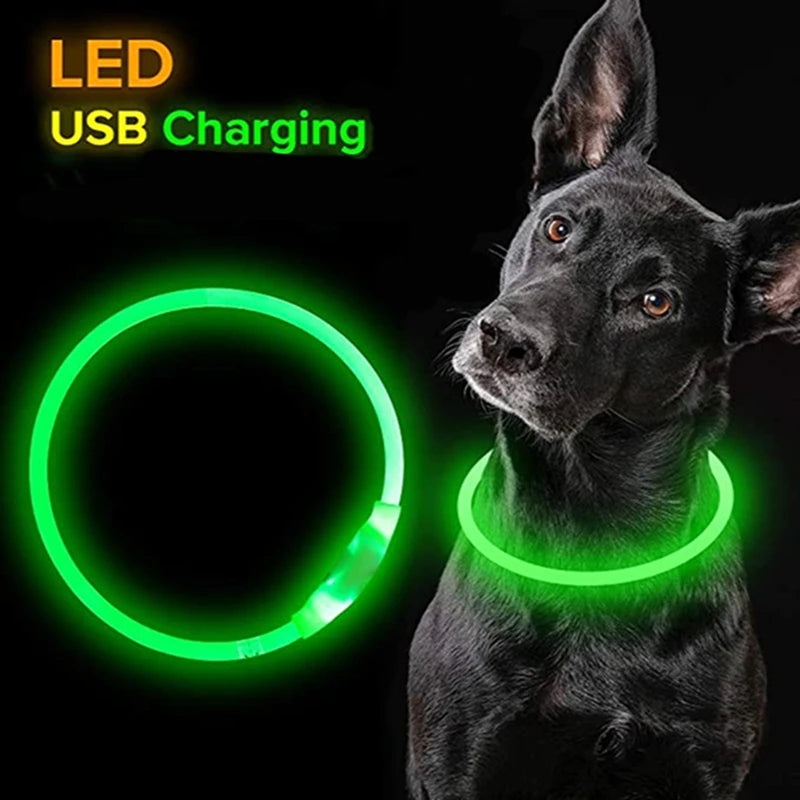 GlowGuard LED Collar: Prevent Pet Loss with 3 Lighting Modes