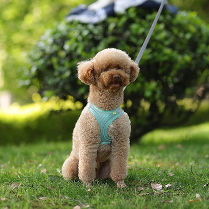 AirFlex™ No-Pull Dog Harness