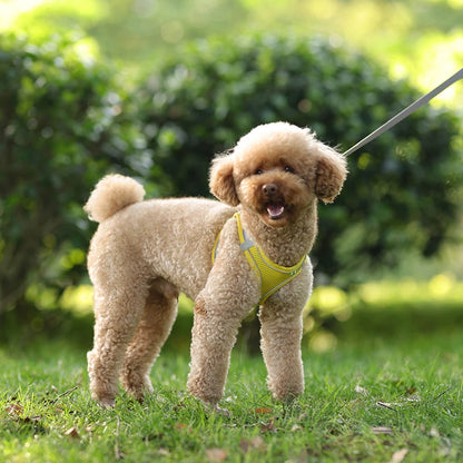 AirFlex™ No-Pull Dog Harness