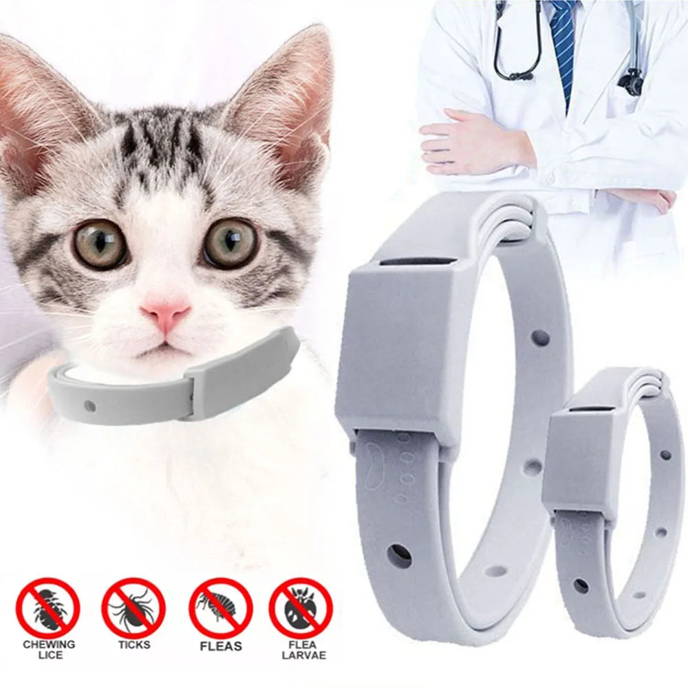 Collier anti-puces PurrProtect : conception réglable et détachable avec protection de 8 mois