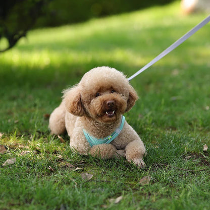 AirFlex™ No-Pull Dog Harness
