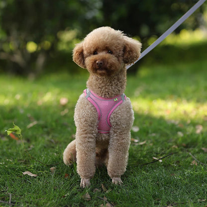 AirFlex™ No-Pull Dog Harness